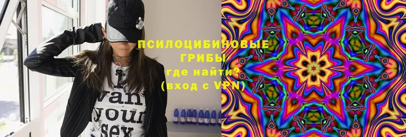 купить закладку  Иланский  Псилоцибиновые грибы Magic Shrooms 